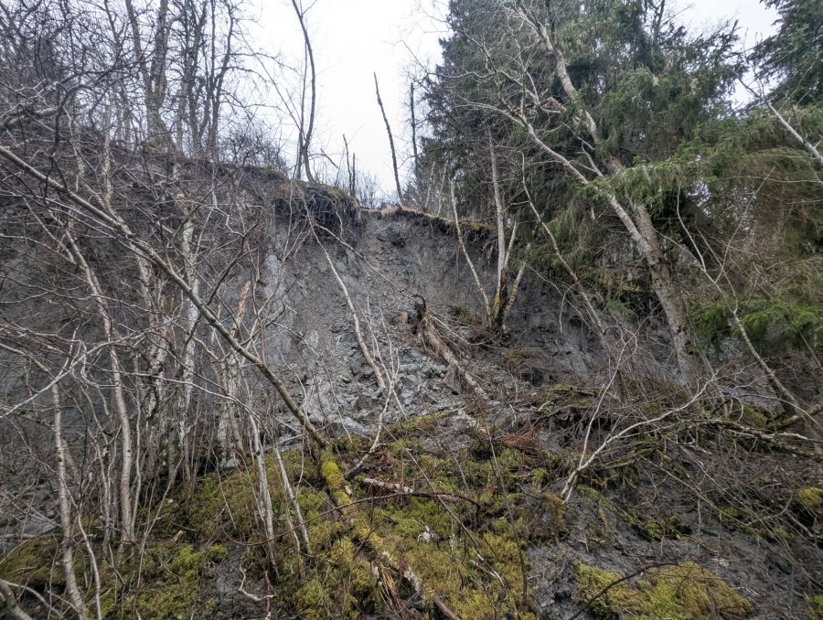 Bekkesikring Bratsberg